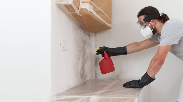 Professional Crawl Space Mold Removal technician working in Waban, MA