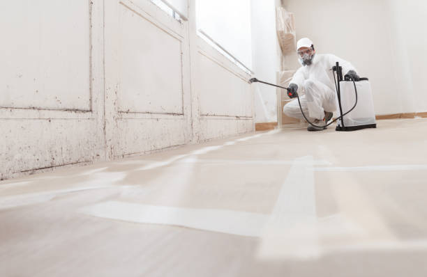 24/7 Emergency Crawl Space Mold Removal experts in Waban, MA