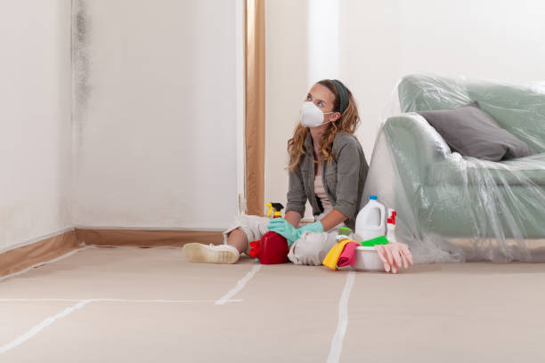 Reliable Crawl Space Mold Removal contractor in Waban, MA by WQB Mold Removal